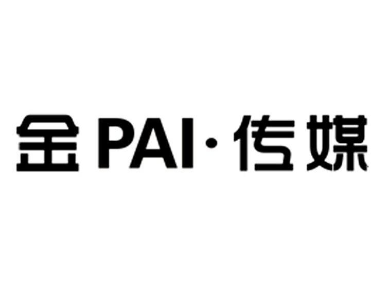 金传媒 PAI