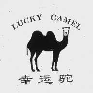 幸运驼   LUCKY CAMEL