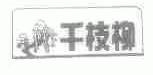 千枝柳