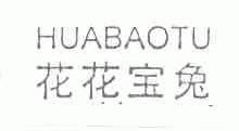 花花宝兔;HUABAOTU