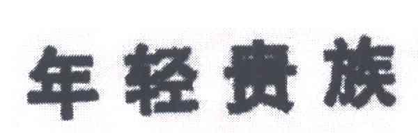 年轻贵族