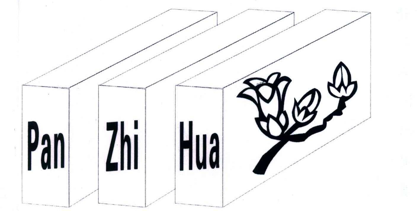 PAN ZHI HUA