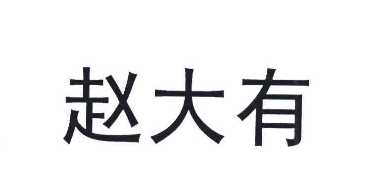 赵大有