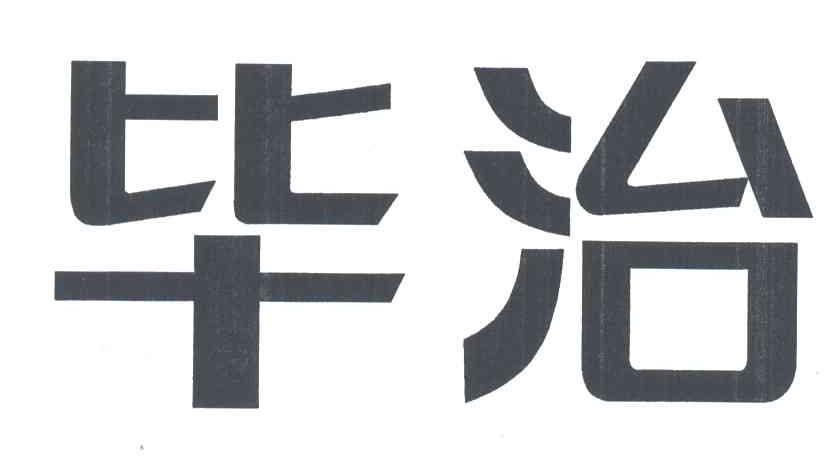 毕治