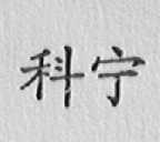 科宁