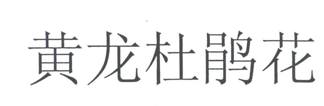 黄龙杜鹃花