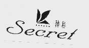 神秘; SECRET
