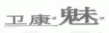 卫康魅
