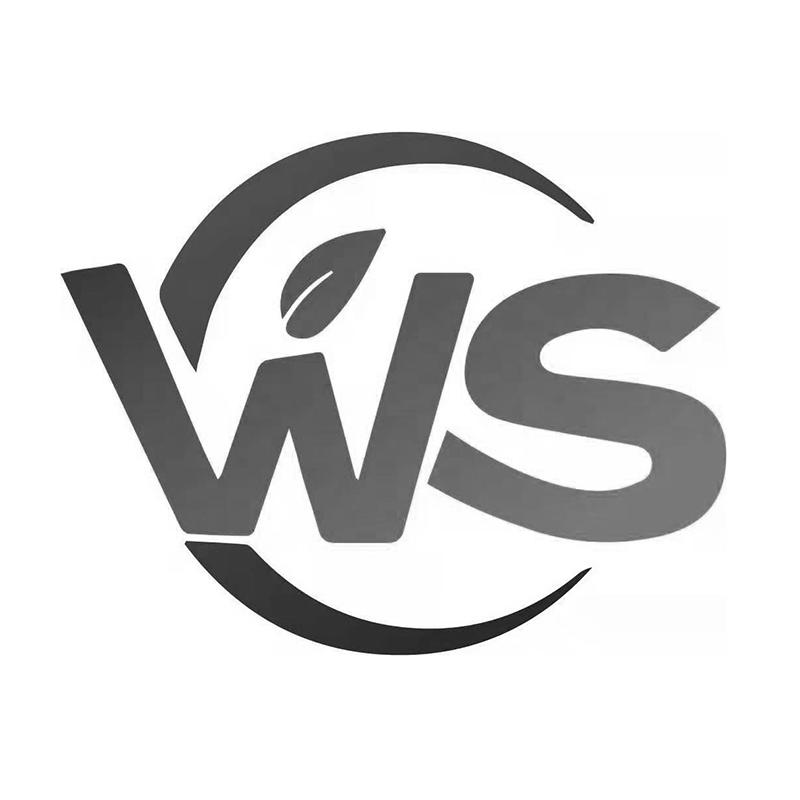 WS