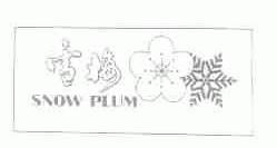 雪梅;SNOW PLUM