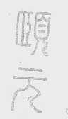 颐元