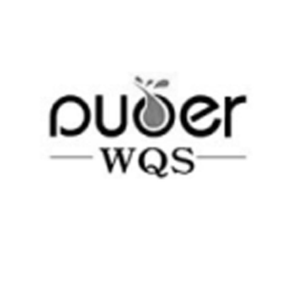 DUOER WQS