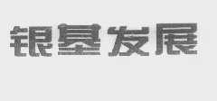 银基发展