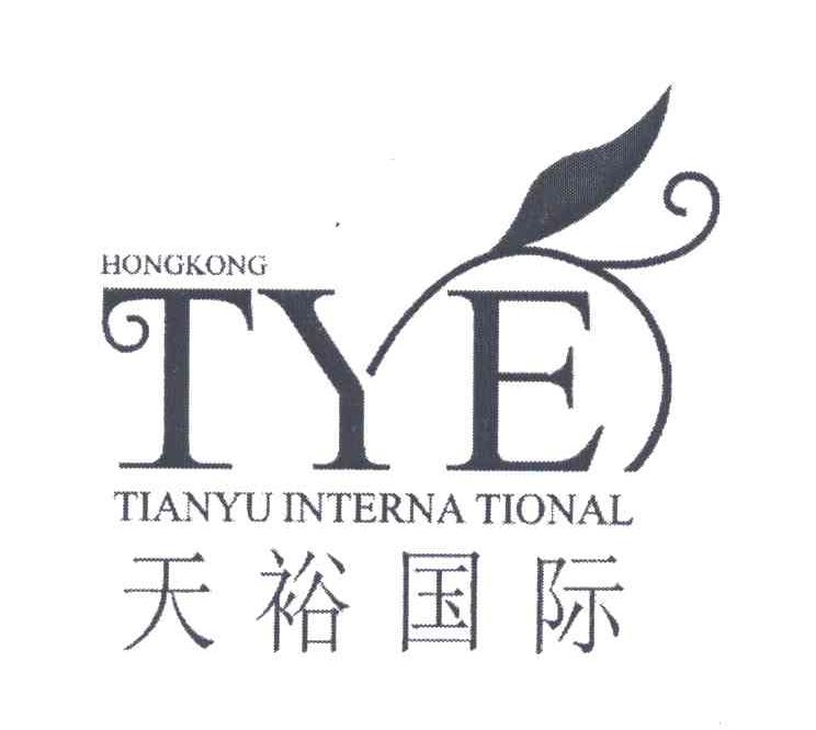 天裕国际 HONGKONG TYE TIANYU INTERNATIONAL