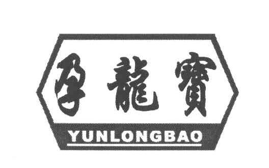 孕龙宝
