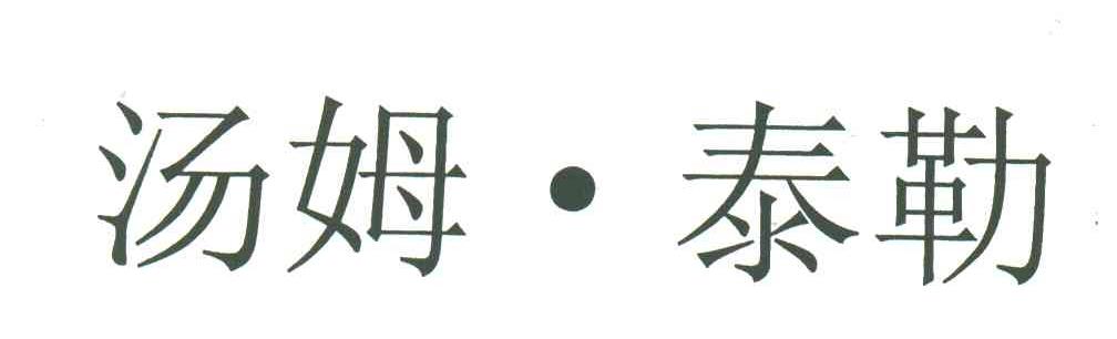 汤姆泰勒