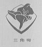 三角梅