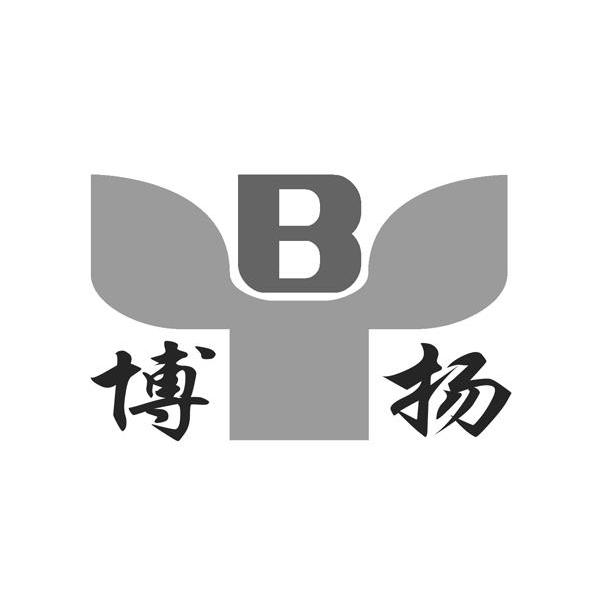 博扬 BY