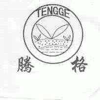 腾格