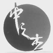 中之杰