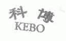科博