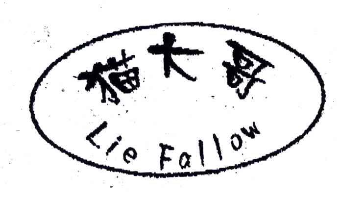 猫大哥;LIE FALLOW