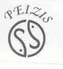 PEIZIS