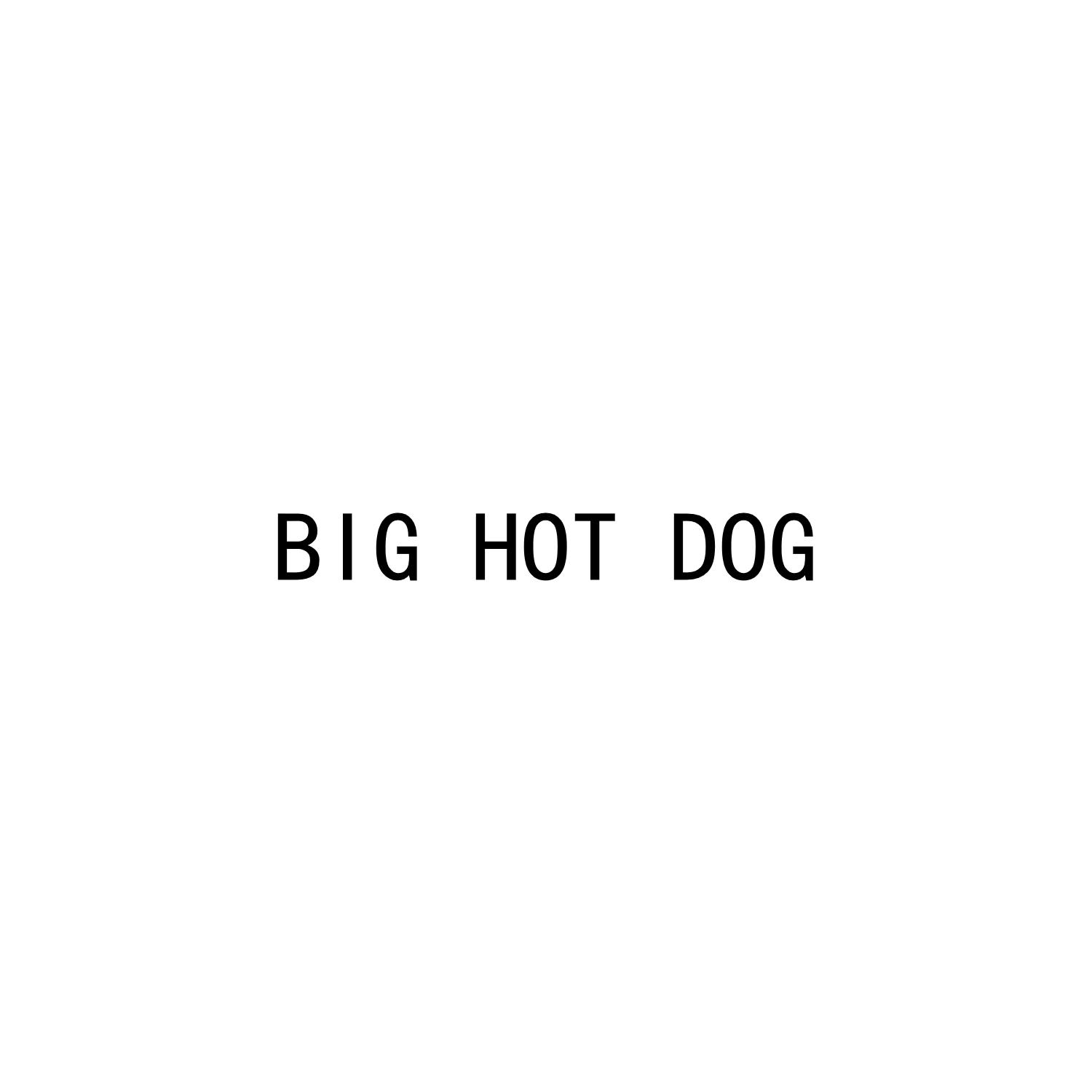 BIG HOT DOG