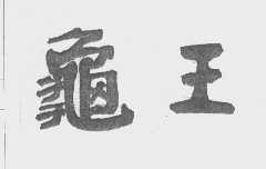龟王