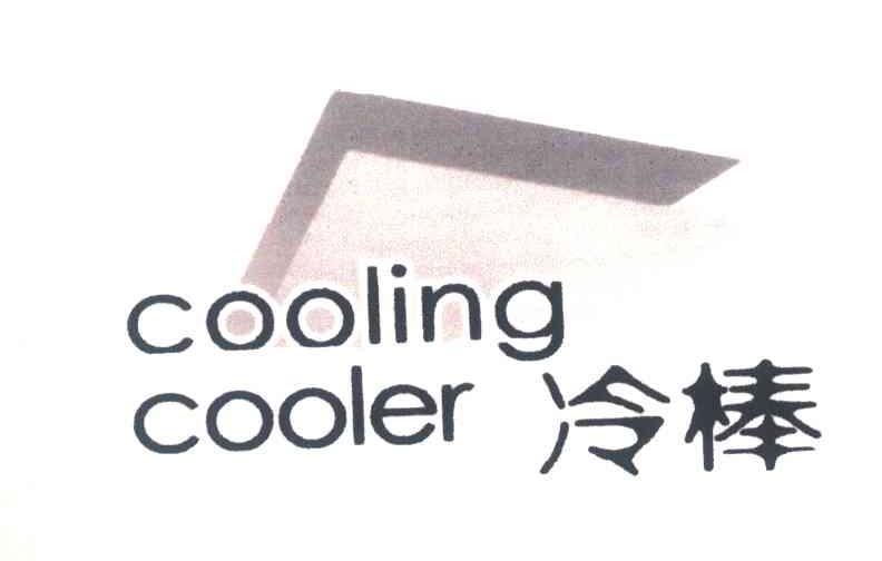 冷棒;COOLING COOLER