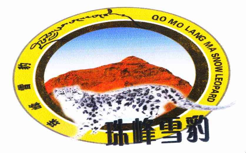 珠峰雪豹 QO MO LANG MA SNOW LEOPARD