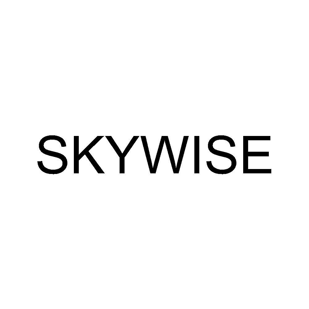SKYWISE