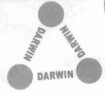 DARWIN