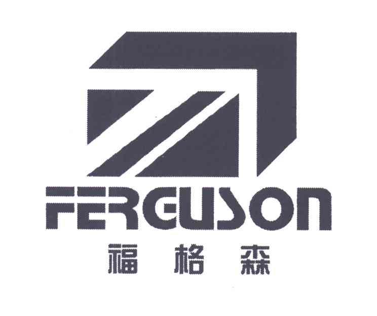 福格森;FERGUSON