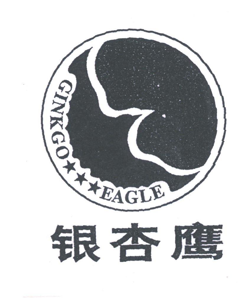 银杏鹰;GINKGO EAGLE