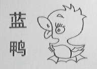 蓝鸭