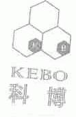 科博