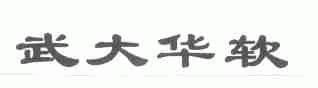 武大华软