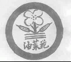 油菜花