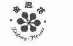 金凤花;JINFENG FLOWER