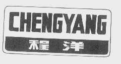 程洋