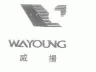威扬;WAYOUNG