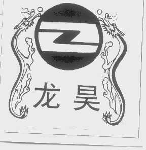 龙昊