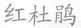 红杜鹃