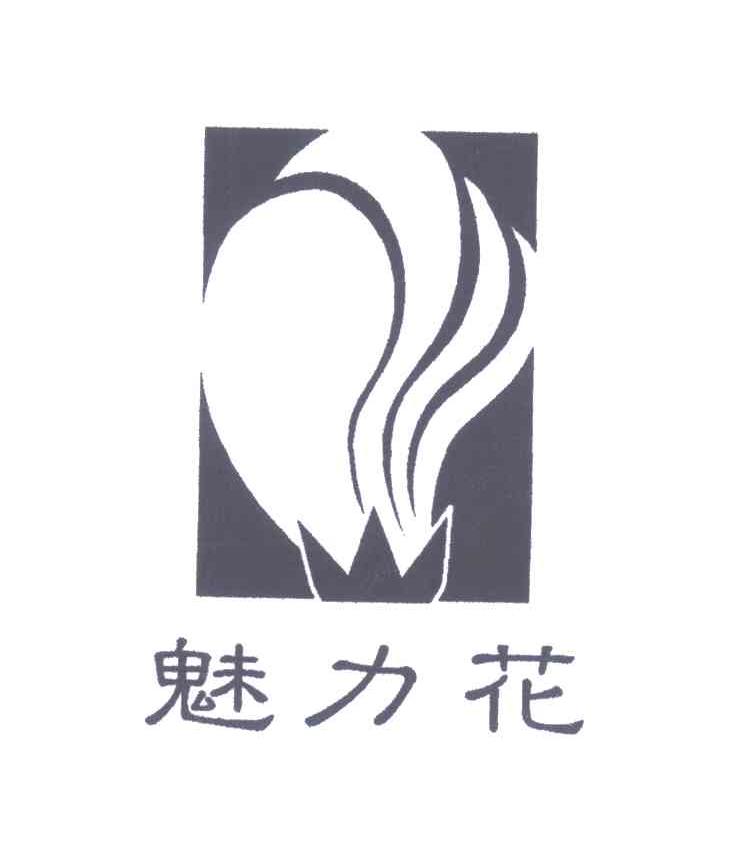 魅力花及图