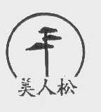 美人松