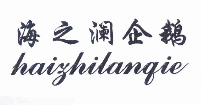 海之澜企鹅