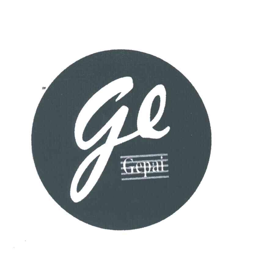 GE;GEPAI