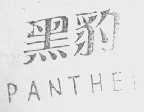 黑豹    PAN THER