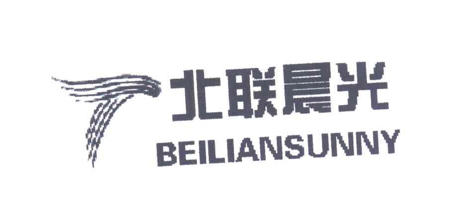 北联晨光